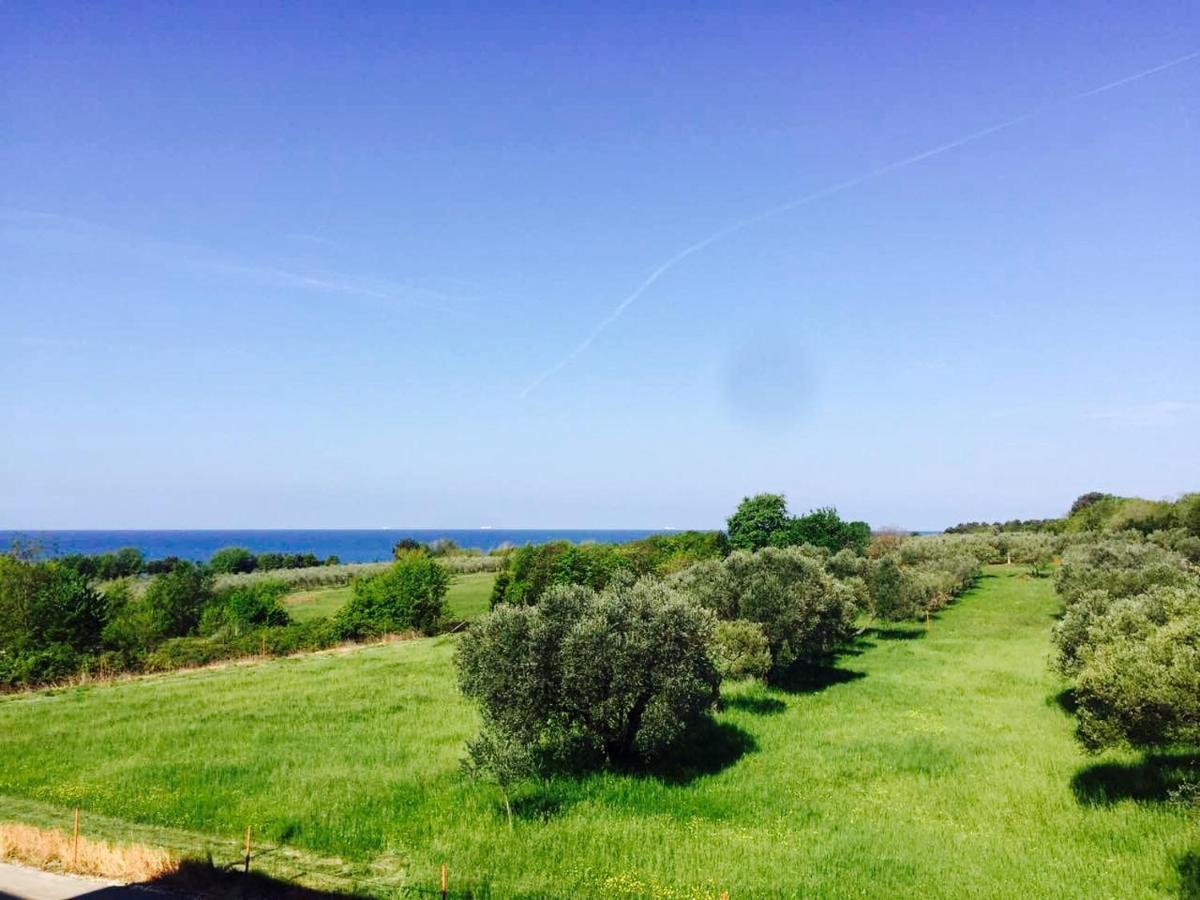 Apartment Mirella Umag Bagian luar foto