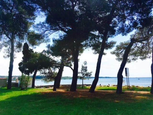 Apartment Mirella Umag Bagian luar foto